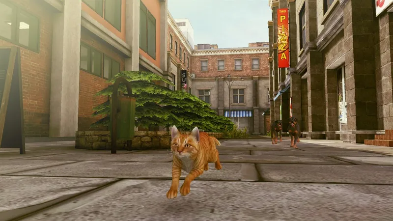 Little Strays 2: Souls of First Light Xbox активация