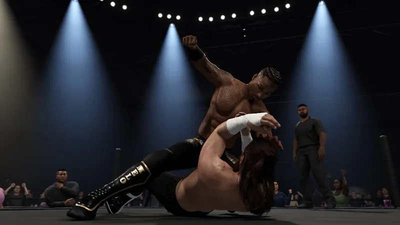WWE 2K25 (Steam Gift) · Весь мир · Автодоставка 24/7