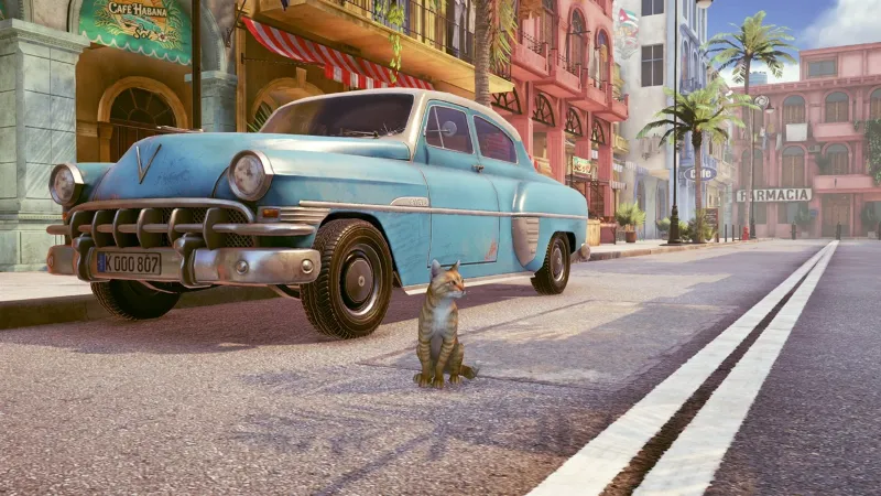 Little Strays - Havana Xbox One|X|S активация