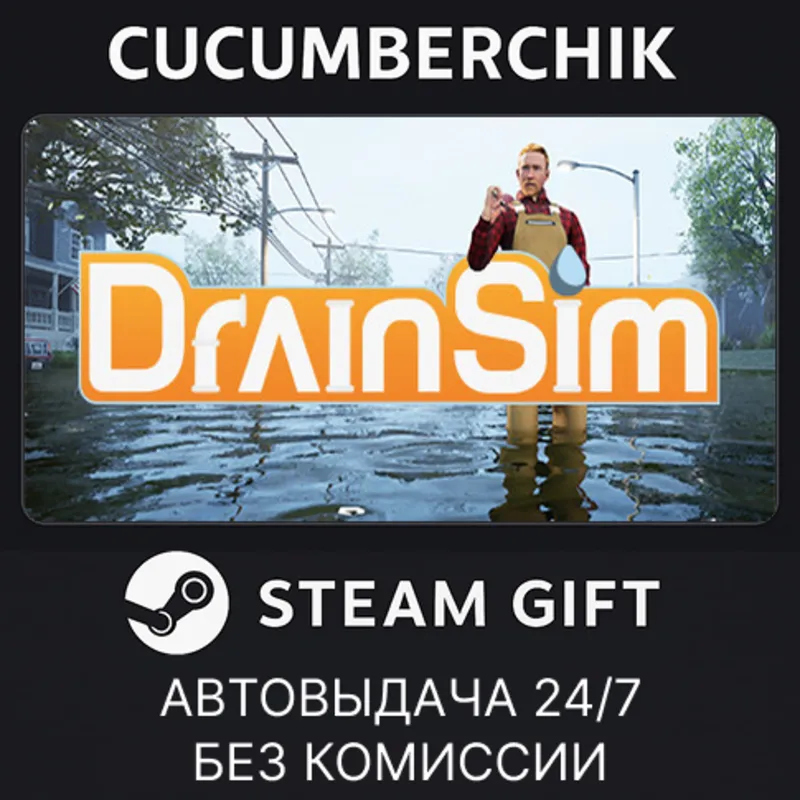 DrainSim STEAM GIFT AUTO RU+МИР