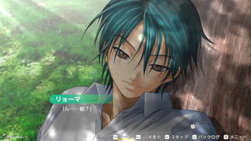 The Prince of Tennis Sweet School Festival 0-40 and more... STEAM GIFT AUTO UA+МИР